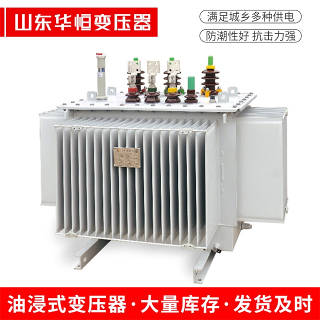 S13-10000/35扎兰屯扎兰屯扎兰屯电力变压器